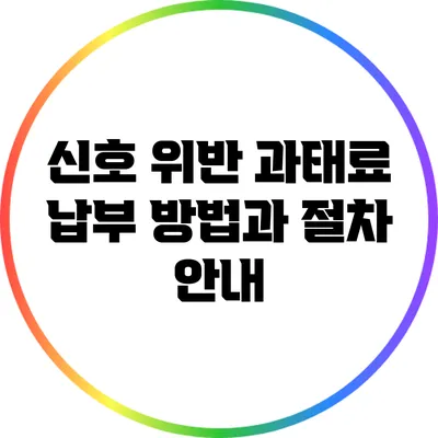 신호 위반 과태료 납부 방법과 절차 안내