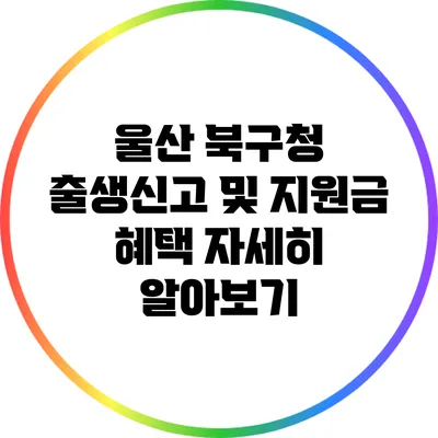 울산 북구청 출생신고 및 지원금 혜택 자세히 알아보기