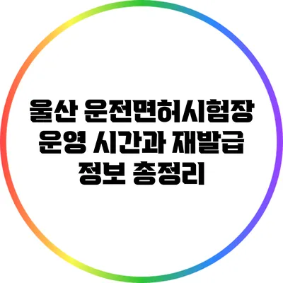 울산 운전면허시험장 운영 시간과 재발급 정보 총정리