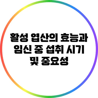 활성 엽산의 효능과 임신 중 섭취 시기 및 중요성