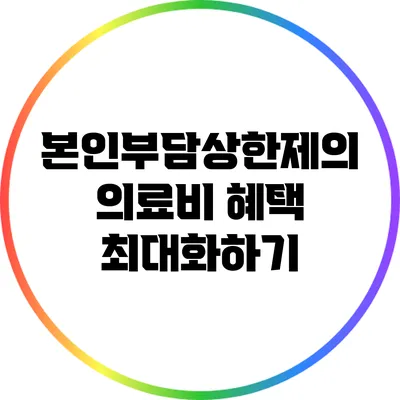 본인부담상한제의 의료비 혜택 최대화하기