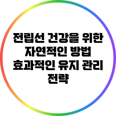 전립선 건강을 위한 자연적인 방법: 효과적인 유지 관리 전략