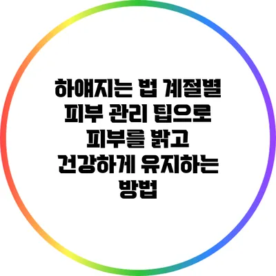 하얘지는 법: 계절별 피부 관리 팁으로 피부를 밝고 건강하게 유지하는 방법