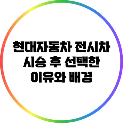 현대자동차 전시차 시승 후 선택한 이유와 배경