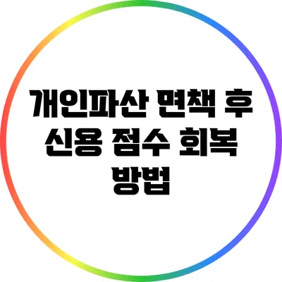 개인파산 면책 후 신용 점수 회복 방법