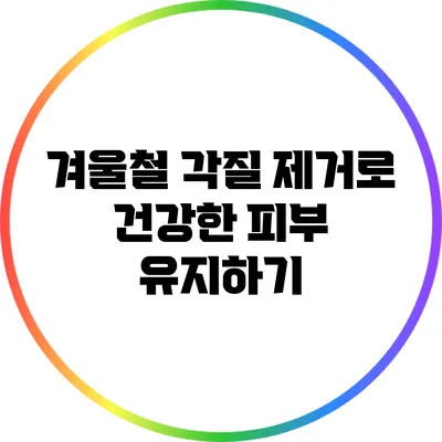 겨울철 각질 제거로 건강한 피부 유지하기
