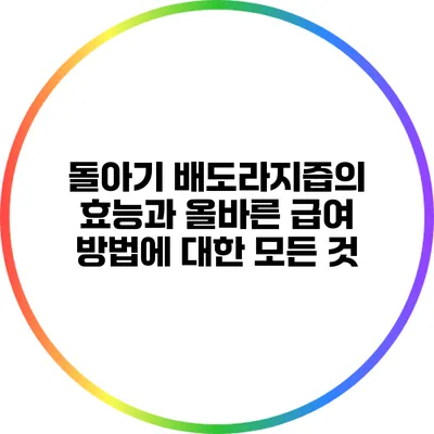 돌아기 배도라지즙의 효능과 올바른 급여 방법에 대한 모든 것