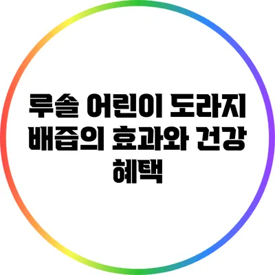 루솔 어린이 도라지 배즙의 효과와 건강 혜택