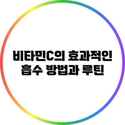 비타민C의 효과적인 흡수 방법과 루틴