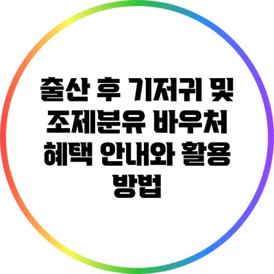 출산 후 기저귀 및 조제분유 바우처 혜택 안내와 활용 방법