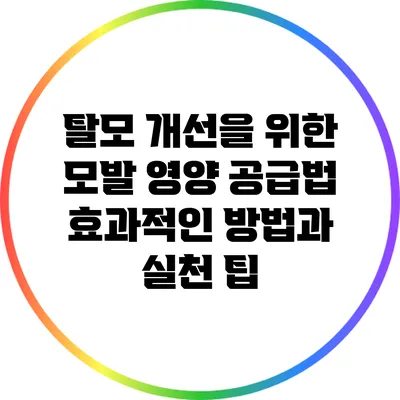 탈모 개선을 위한 모발 영양 공급법: 효과적인 방법과 실천 팁