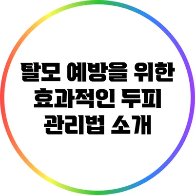 탈모 예방을 위한 효과적인 두피 관리법 소개