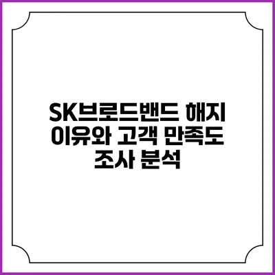SK브로드밴드 해지 이유와 고객 만족도 조사 분석