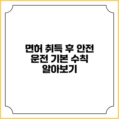 면허 취득 후 안전 운전: 기본 수칙 알아보기