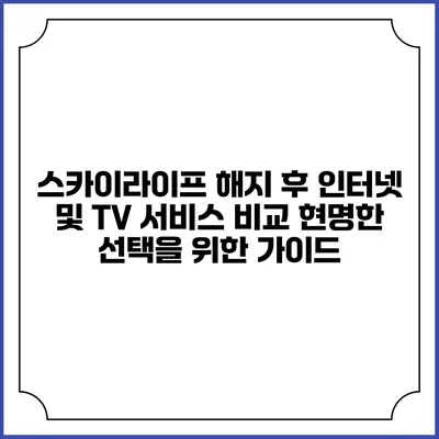 스카이라이프 해지 후 인터넷 및 TV 서비스 비교: 현명한 선택을 위한 가이드