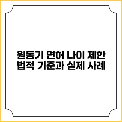 원동기 면허 나이 제한: 법적 기준과 실제 사례