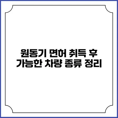 원동기 면허 취득 후 가능한 차량 종류 정리