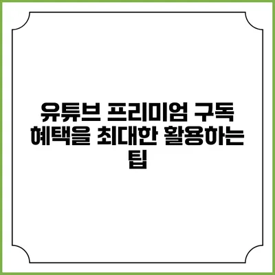 유튜브 프리미엄 구독 혜택을 최대한 활용하는 팁