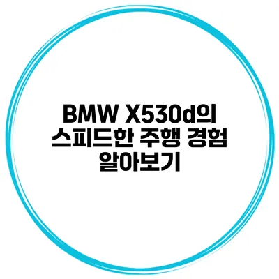BMW X530d의 스피드한 주행 경험 알아보기