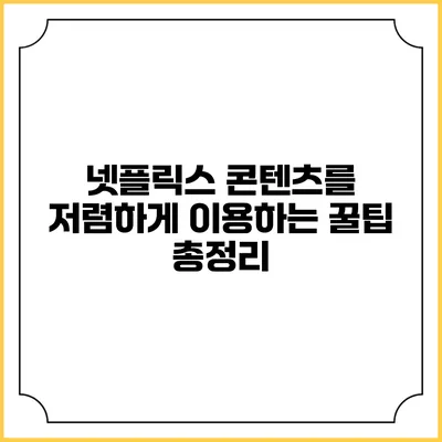 넷플릭스 콘텐츠를 저렴하게 이용하는 꿀팁 총정리