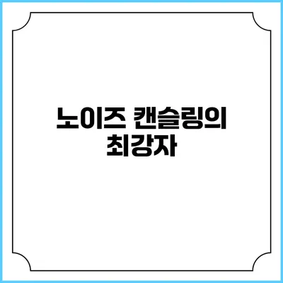 노이즈 캔슬링의 최강자