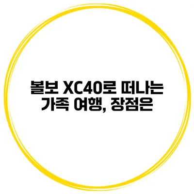 볼보 XC40로 떠나는 가족 여행, 장점은?