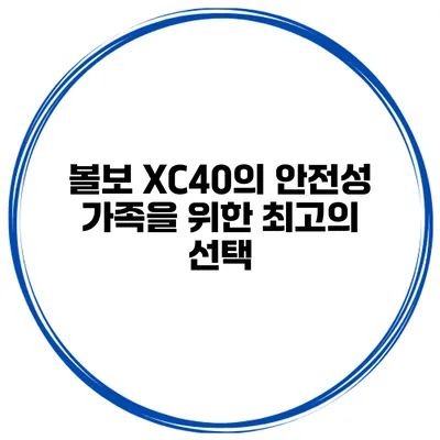 볼보 XC40의 안전성 가족을 위한 최고의 선택