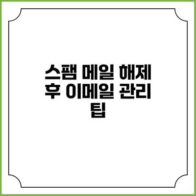 스팸 메일 해제 후 이메일 관리 팁