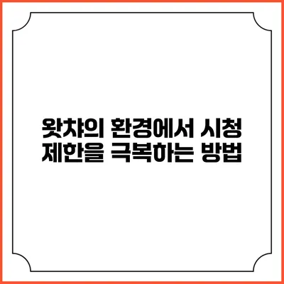 왓챠의 환경에서 시청 제한을 극복하는 방법