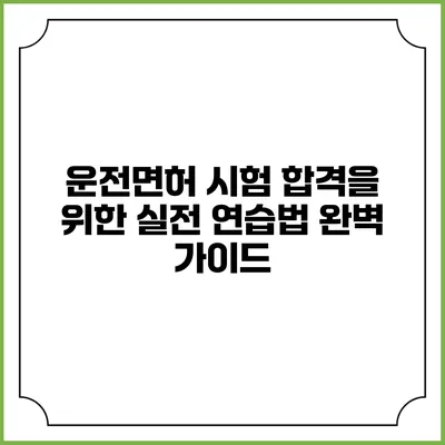 운전면허 시험 합격을 위한 실전 연습법 완벽 가이드