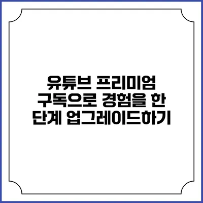 유튜브 프리미엄 구독으로 경험을 한 단계 업그레이드하기