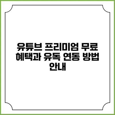 유튜브 프리미엄 무료 혜택과 유독 연동 방법 안내
