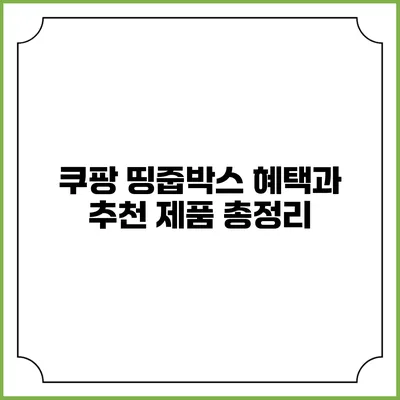쿠팡 띵줍박스 혜택과 추천 제품 총정리