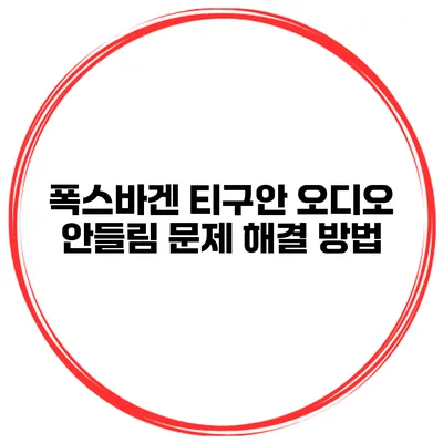 폭스바겐 티구안 오디오 안들림 문제 해결 방법