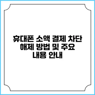 휴대폰 소액 결제 차단 해제 방법 및 주요 내용 안내